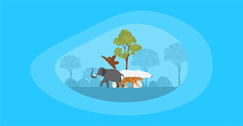 endangered animal charities|10 Best Charities That Fight for Endangered Animals (Complete 2.